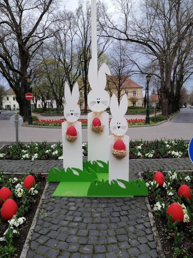 Viharsarki Apartman Дьюла Экстерьер фото